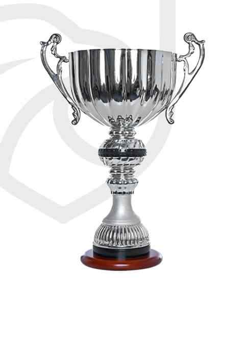 https://coozelitesports.com/wp-content/uploads/2022/11/trophy_overlay_01.jpg