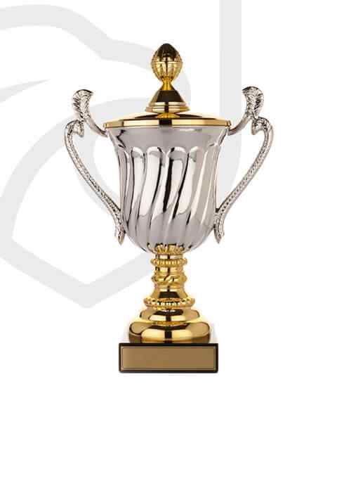 https://coozelitesports.com/wp-content/uploads/2022/11/trophy_overlay_02.jpg